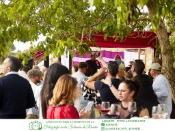 Festival Mar de Tethys 2026 - Bodega Vetas